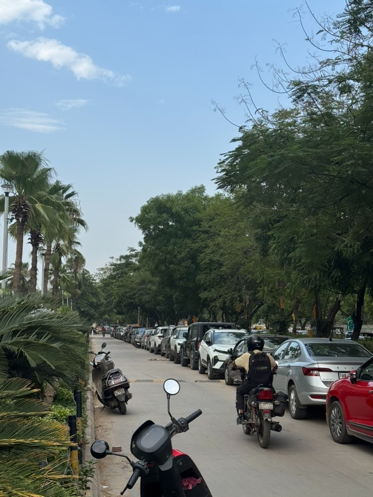 Palm-lined street leading to HQ